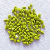 25 Gramm - pinch beads olivine opak
